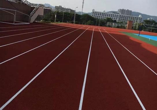 预制型塑胶跑道市场份额增长，安装便捷性与环保性受关注